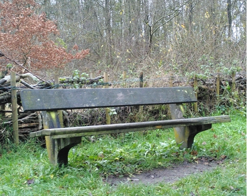wooden park bench