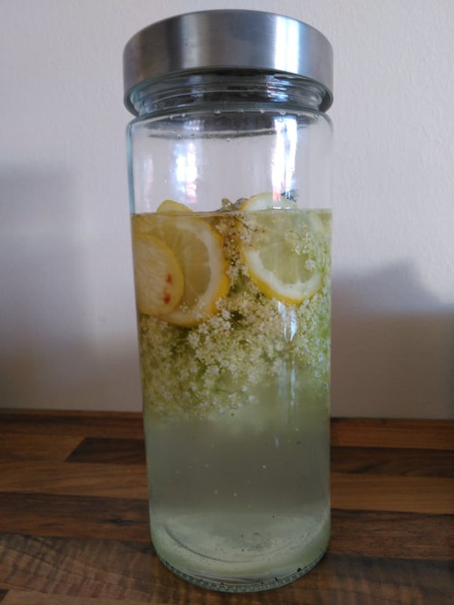 Ein hohes Glas mit Deckel, darin Holunderblüten und Zitronenscheiben in Zuckerwasser.
