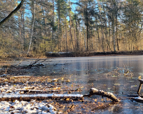 ein zugefrorener See im Winter