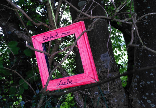 Ein leerer knallrosa bilderrahmen, der in einem Baum hängt. Auf dem Rahmen steht der Text: Einfach nur Liebe...