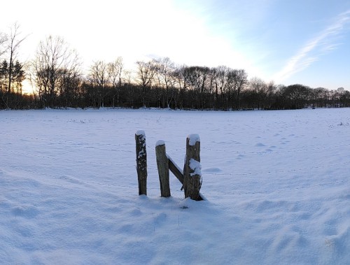 Jahresrückblick21: Schnee auf einer Wiese im Sonnenschein, davor ein Zaun