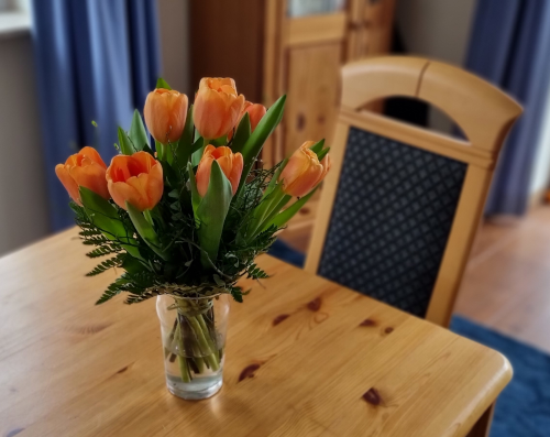 ein Straus pfirsichfarbener Tulpen auf einem Tisch