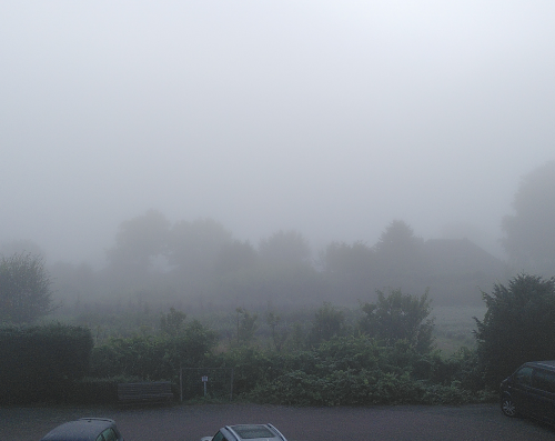 Blick auf dichten Nebel. Darin nur unscharf zu sehen sind Bäume und Sträucher. Im Vordergrund parkende Autos