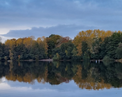 Blick auf einen See, das Wasser ist sehr ruhig und spiegelt die Bäume am gegenüberliegenden Ufer. Die Laubfarben gehen von Dunkelgrün bis leuchtend Gold. Der Himmel ist dramatisch bewölkt.