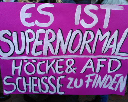 Ein magentafarbenes Demoschild, darauf steht: Es ist supernormal, Höcke und die AfD scheiße zu finden