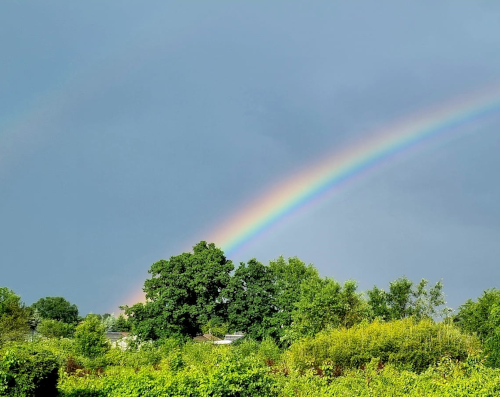 Vor einem stahlgrauen Wolkenhintergrund ein leuchtender Regenbogen, der hinter einem Baum endet. Ganz schwach ist links noch ein zweiter Regenbogen sichtbar.