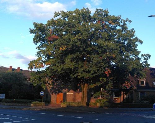 Monatsrückblick September 24