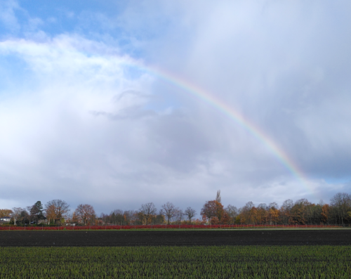 Monatsrückblick November 24 : Foto von einem Regenbogen über einer Herbstlandschaft.