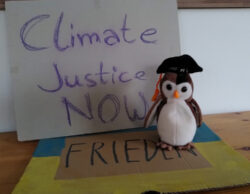 lernen ist politisch: Photo von einer Plüscheule mit einem schwarzen Doktorhut. Sie sitzt auf einem blau-gelben Pappschild, auf dem Frieden steht. Im Hinergrund lehnt ein weiteres Pappschild, darauf steht Climate Justice now