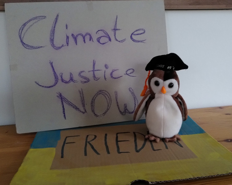 lernen ist politisch: Photo von einer Plüscheule mit einem schwarzen Doktorhut. Sie sitzt auf einem blau-gelben Pappschild, auf dem Frieden steht. Im Hinergrund lehnt ein weiteres Pappschild, darauf steht Climate Justice now