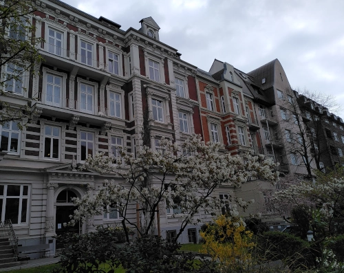 Fassade eines historischen Wohngebäudes in rot und weiß, davor ein weiß blühender Strauch