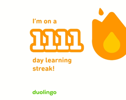 Screenshot aus Duolingo, eine orangefarbene Cartoon-Flamme auf weißem Grund. Daneben der Text: I am on a 1111 day learning streak!