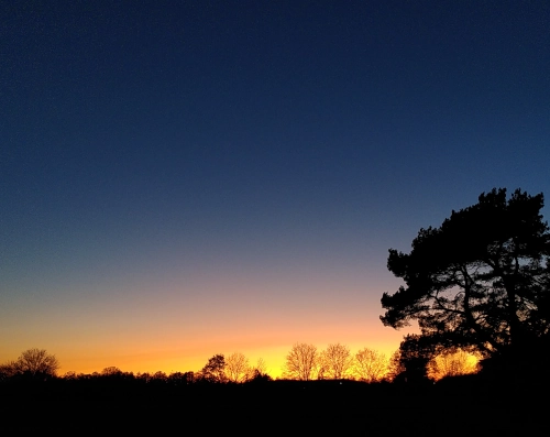 Himmel kurz vor Sonnenaufgang. Der obere Bildrand ist dunkelblau, der Horizont hinter Bäumen ist leuchtend gelb.
