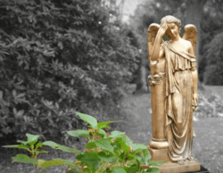 Photo von einer goldfarbenen Engelsstatue. Die Figur steht am rechten Bildrand auf einem schwarzen Sockel, links daneben ist am unteren Bildrand grünes Laub zu sehen. Dem Hintergrund wurde die Farbe entzogen, es sind Sträucher und ein Rasen in Graustufen zu sehen. Der Engel hält seinen geneigten Kopf in der rechten Hand