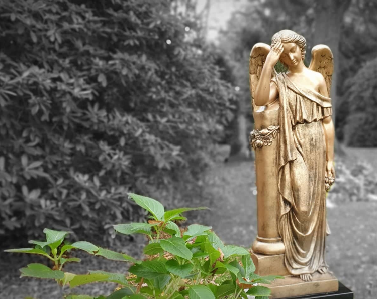 Photo von einer goldfarbenen Engelsstatue. Die Figur steht am rechten Bildrand auf einem schwarzen Sockel, links daneben ist am unteren Bildrand grünes Laub zu sehen. Dem Hintergrund wurde die Farbe entzogen, es sind Sträucher und ein Rasen in Graustufen zu sehen. Der Engel hält seinen geneigten Kopf in der rechten Hand