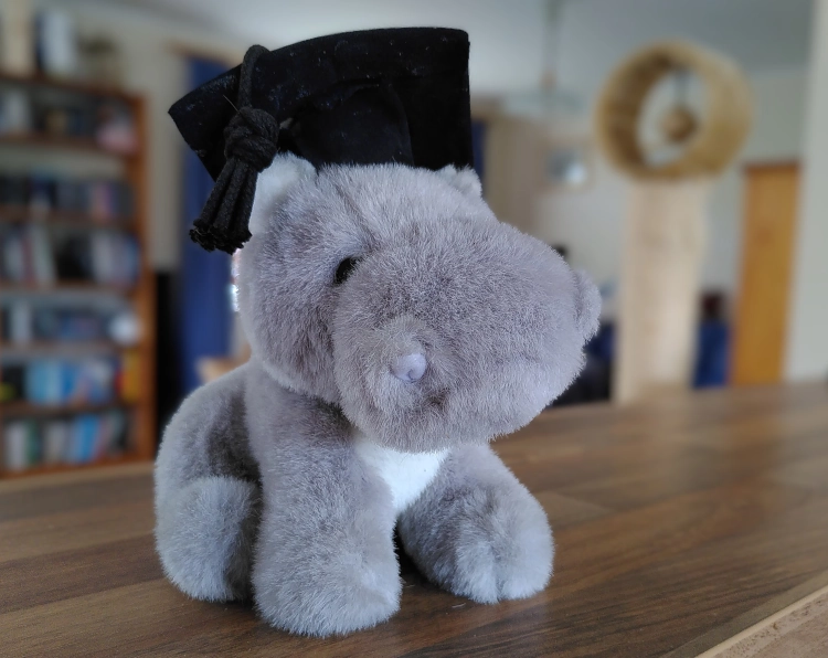 Plüschnilpferd mit Doktorhut