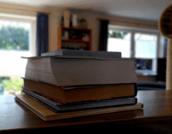 Photo von einem Bücherstapel, der meine lebende Bibliothek darstellen soll. Im Hintergrund weichgezeichnet ein Wohnzimmer mit einem Bücherregal