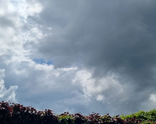 Photo von dramatischen mittelgrauen Wolken mit einem schmalen weißblauen geschwungenen Riss, am unteren Rand dunkelrote und grüne Blätter einer Buchenhecke