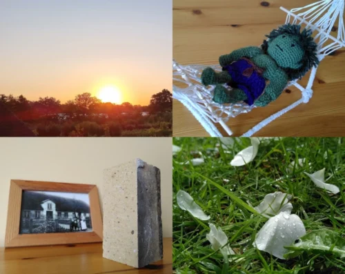 Viergeteiltes Photo für Projekt52 Juni 25: Oben links ein Sonnenaufgang, oben rechts ein gehäkelter Hulk in einer gehäkelten Hängematte. Unten links ein beiger Ziegelstein vor einem Bild von einem Haus und unten rechts weiße Rosenblätter im Gras von Regentropfen benetzt.