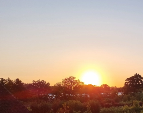 Photo vom Sonnenaufgang hinter Laubbäumen