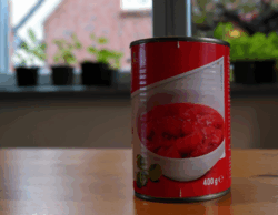 Photo of a can of chopped tomato