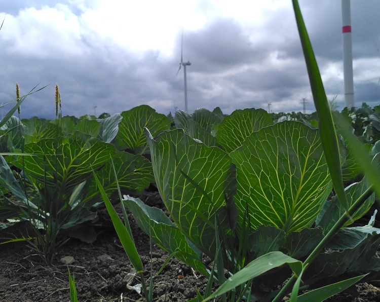 Monatsrückblick Juli 25