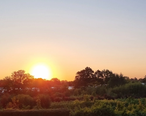 Photo vom Sonnenaufgang. Die Sonnenscheibe ist zu zwei Drittel über Laubbäumen zu sehen, der wolkenlose Himmel darüber ist blau, rosa und gelb gefärbt