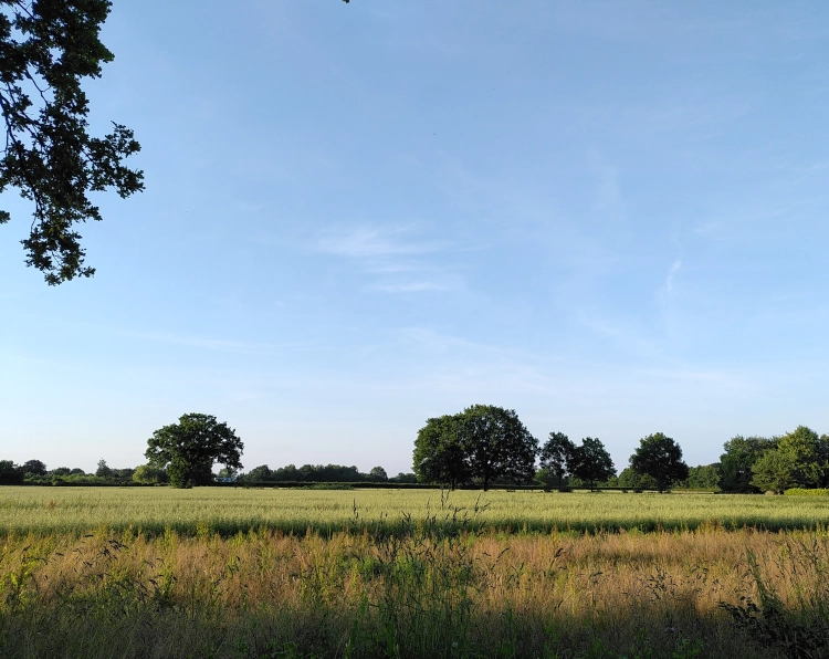 Monatsrückblick Juni 25