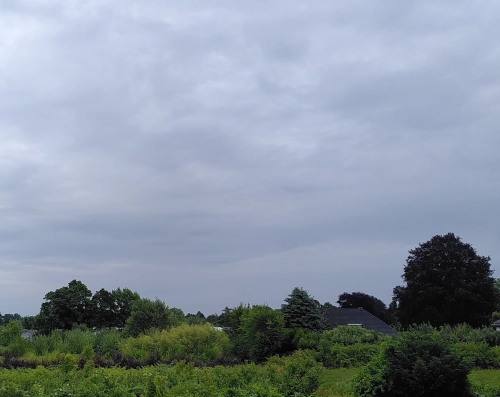 Landschaftsbild. Am unteren Bildrand Bäume und Sträucher, in den 80% darüber bewölkter Himmel.