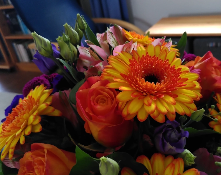 Nahaufnahme eines farbenfrohen Blumenstraußes