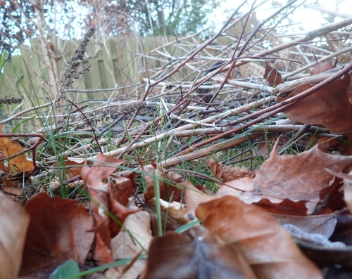 Nahaufnahme eines Stöckerhaufens, davor braunes Laub auf dem Boden in einem Garten