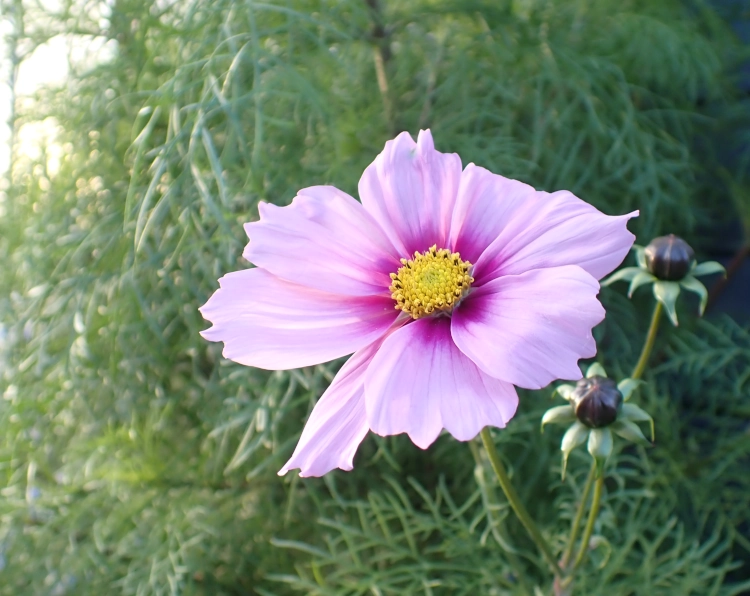 WMDEDGT im November 25