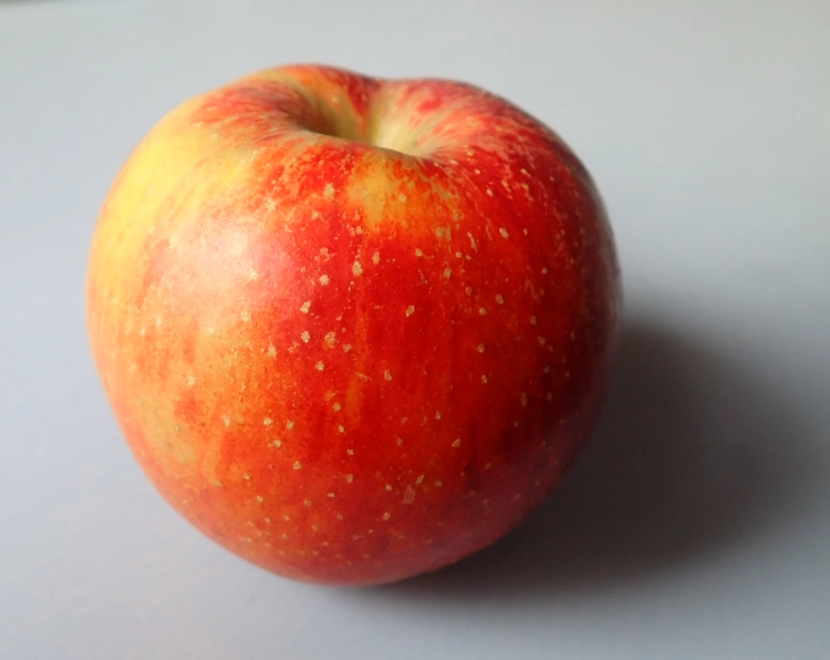 A red and yellow apple