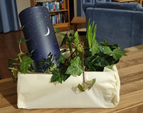 Eine Schachtel, darin eine Pappurne mit Nachthimmelmotiv, ein Topf mit gerade sprießenden Narzissen und Efeuzweige.