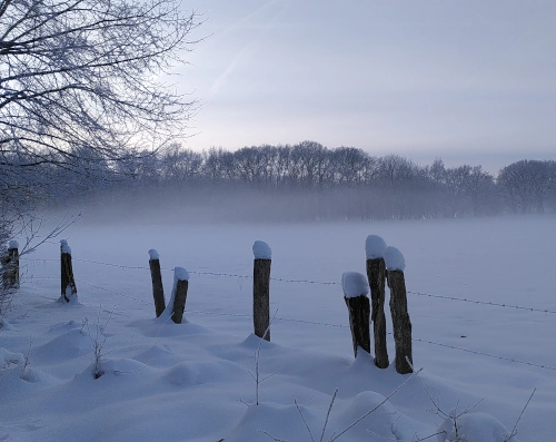 schneebedeckte Lichtung mit Nebel, im Vordergrund Zaunpfähle mit Mützen aus Schnee.