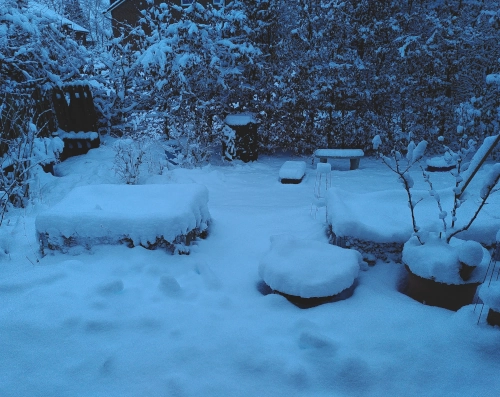 morgendliches Photo von einem Garten. Alles ist mit einer circa 40 Zentimeter hohen Schicht Schnee bedeckt.