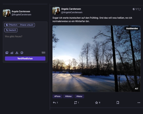 Screenshot aus MAstodon, zu sehen ist ein Bildbeitrag dieses Profils