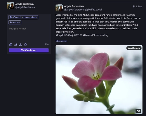 Screenshot aus Mastodon, zu sehen ist ein Bildbeitrag eines Pixelfedprofils.