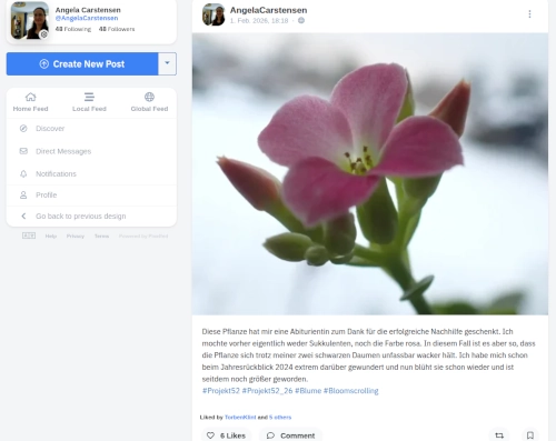 Screenshot aus Pixelfed, zu sehen ist ein Bildbeitrag dieses Profils