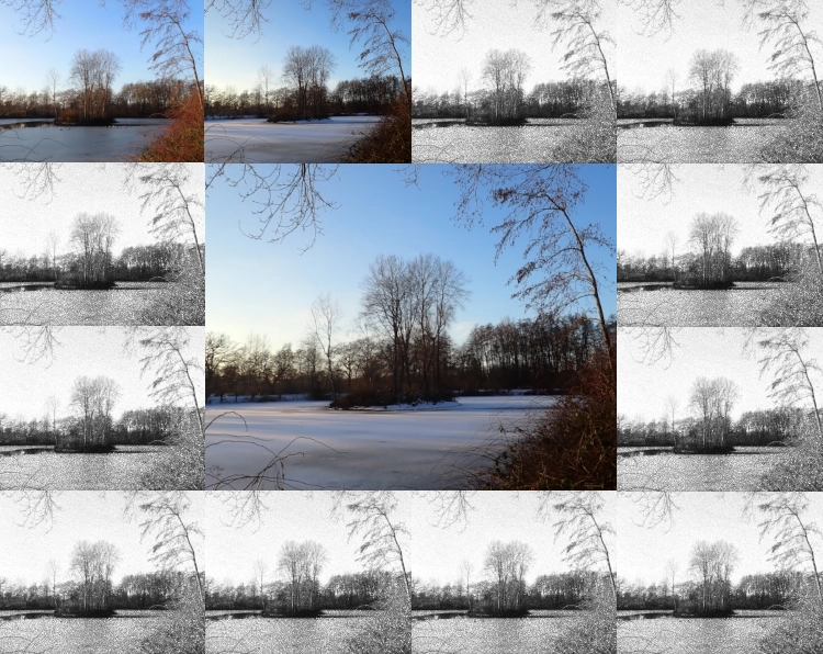 Ein Bild zerteilt in zwölf kleine Rechtecke an den Kanten und ein großes Rechteck in der Mitte. Das mittlere Bild zeigt eine Insel auf einem zugefrorenen See im Winter. Die beiden Rechtecke links in der oben Zeile zeigen dieselbe Szene, im Januar und im Februar, in beiden Fällen im Winter, nur halb so groß. Alle anderen Bilder zeigen dieselbe Szene in Grautönen.