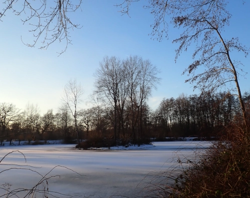 Ein Teich vom Bäumen gesäumt, darauf eine kleine Insel, auf der auch Bäume stehen. Die Wasseroberfläche ist fast komplett zugefroren, der Himmel ist blau