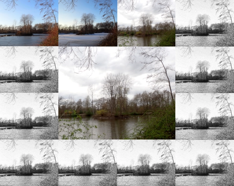 Ein Bild zerteilt in zwölf kleine Rechtecke an den Kanten und ein großes Rechteck in der Mitte. Das mittlere Bild zeigt eine Insel auf einem See zum Frühlingsbeginn. Die drei ersten Rechtecke in der oberen Zeile zeigen dieselbe Szene, im Januar, Februarund März in Farbe. Alle anderen Bilder zeigen dieselbe Szene in Grautönen.