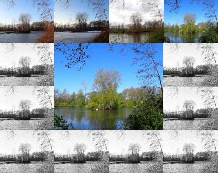 Ein Bild zerteilt in zwölf kleine Rechtecke an den Kanten und ein großes Rechteck in der Mitte. Das mittlere Bild zeigt eine Insel auf einem See in frühen Frühling. Die vier Rechtecke in der oberen Zeile zeigen dieselbe Szene, im Januar, Februar, März und April in Farbe. Alle anderen Bilder zeigen dieselbe Szene in Grautönen.