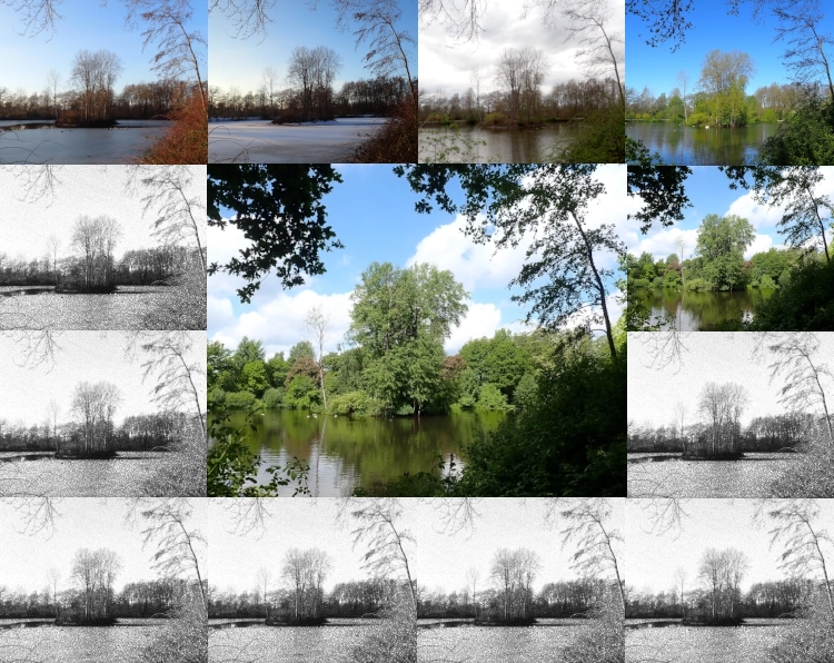 Ein Bild zerteilt in zwölf kleine Rechtecke an den Kanten und ein großes Rechteck in der Mitte. Das mittlere Bild zeigt eine Insel auf einem See im Frühling. Die vier Rechtecke in der oberen Zeile und das rechte kleine Bild in der zweiten Zeile zeigen dieselbe Szene, im Januar, Februar, März, April und Mai in Farbe. Alle anderen Bilder zeigen dieselbe Szene in Grautönen.