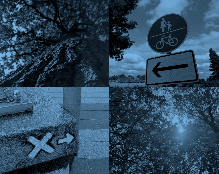 Viergeteiltes Bild mit vier Beiträgen zum Projekt 52. Oben links ein Baum, am Stamm entlang nach oben fotografiert, oben rechts ein Straßenschild für einen geteilten Fuß- und Radweg mit dem Fahrrad untergeordnet, unten links ein X und ein Pfeil auf einem Betonsockel, unten rechts ein Blick in die Baumkronen in einem Wald, bei dem die Sonne durch die Blätter hindurch strahlt