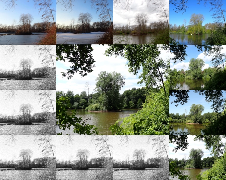 Ein Bild zerteilt in zwölf kleine Rechtecke an den Kanten und ein großes Rechteck in der Mitte. Das mittlere Bild zeigt eine Insel auf einem See im Sommer. Die vier Rechtecke in der oberen Zeile und die rechten kleinen Bilder in der zweiten, dritten und untersten Zeile zeigen dieselbe Szene, im Januar, Februar, März, April, Mai, Juni und Juli in Farbe. Alle anderen Bilder zeigen dieselbe Szene in Grautönen.