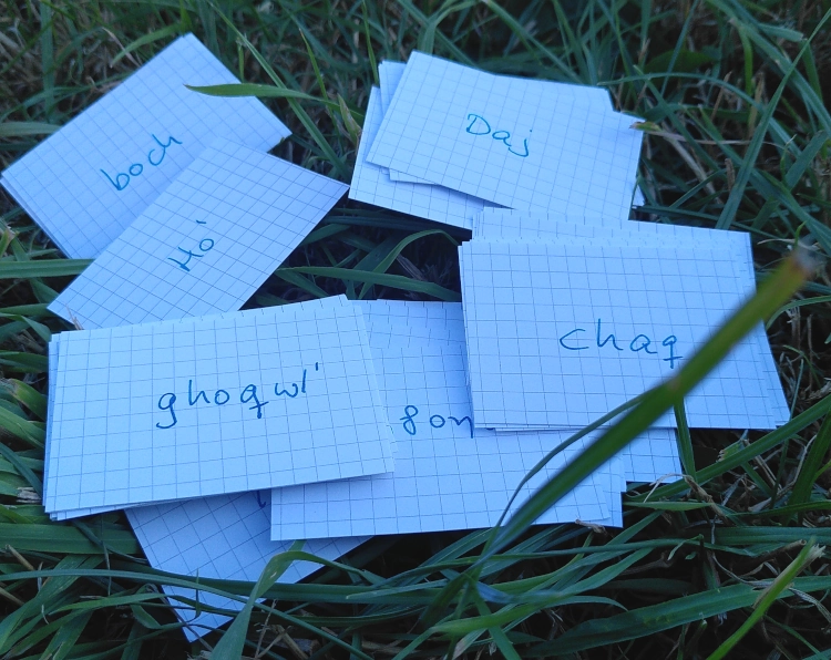 Karteikarten zum Vokabeln lernen auf dem Boden im grünen Gras. Darauf stehen klingonische Wörter in lateinischer Schrift.