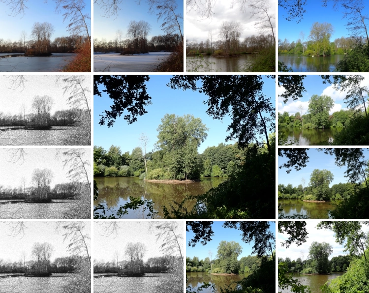 Ein Bild zerteilt in zwölf kleine Rechtecke an den Kanten und ein großes Rechteck in der Mitte. Das mittlere Bild zeigt eine Insel auf einem See im Sommer. Die kleinen Recktecke am äußeren Rand von links oben im Uhrzeigerseinn zeigen dieselbe Szene, im Januar, Februar, März, April, Mai, Juni, Juli und August in Farbe und vier weitere das Bild vom Januar in Grautönen.