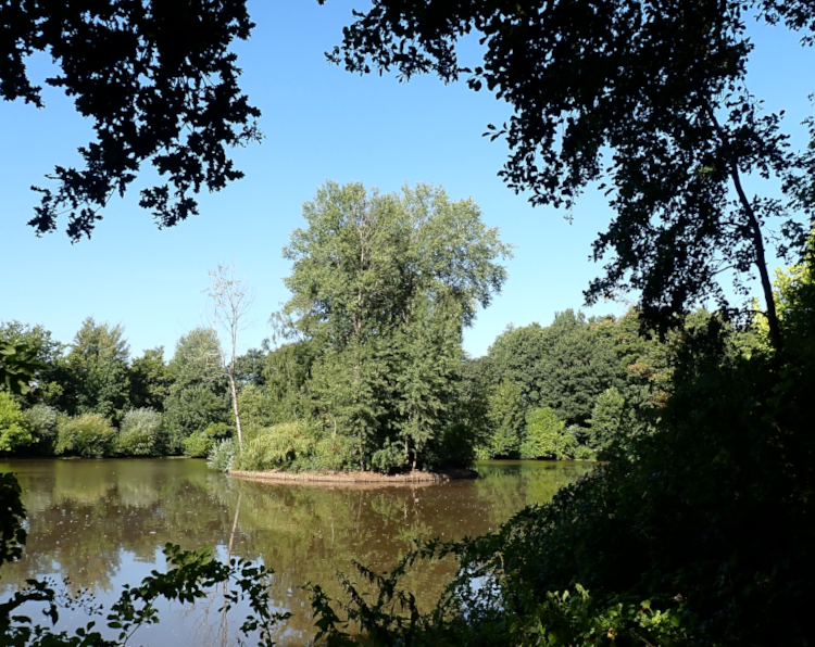 Ein Teich vom Bäumen gesäumt, darauf eine kleine Insel, auf der auch Bäume stehen. Die Bäume sind leuchtend grün belaubt, der Himmel ist blau. Die Szene ist eingerahmt von dunklen Umrissen von Zweigen und Sträuchern, durch die hindurch die Insel fotografiert wurde.