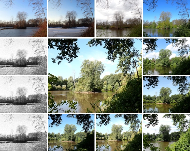 Ein Bild zerteilt in zwölf kleine Rechtecke an den Kanten und ein großes Rechteck in der Mitte. Das mittlere Bild zeigt eine Insel auf einem See im Sommer. Die kleinen Recktecke am äußeren Rand von links oben im Uhrzeigerseinn zeigen dieselbe Szene, im Januar, Februar, März, April, Mai, Juni, Juli August und September in Farbe und drei weitere das Bild vom Januar in Grautönen.